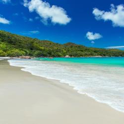 Grand'Anse 3家酒店