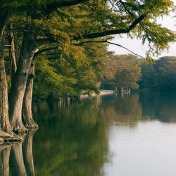 圣马科斯 4家住宿加早餐旅馆