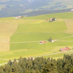 苏尔 3家带停车场的酒店
