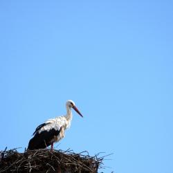 阿尔瓦&middot;德托梅斯 11家住宿