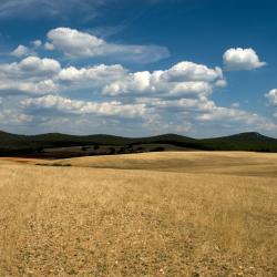 阿尔玛桑 9家带停车场的酒店