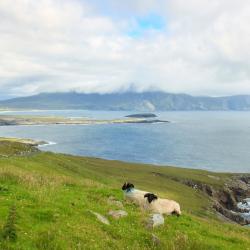 Achill Sound 4家住宿加早餐旅馆