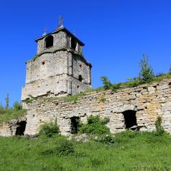 萨塔尼夫 3家宠物友好酒店