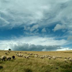 梅吕埃 24家住宿