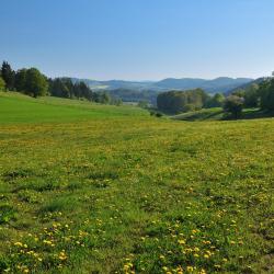 Diemelsee 28家自助式住宿