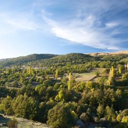 埃尔阿雷纳尔 7家宠物友好酒店