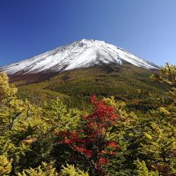 鸣泽市 11家乡村别墅