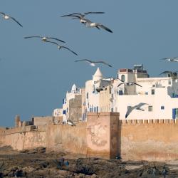 Ghazoua 12家酒店