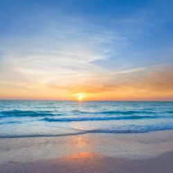 雷丁顿海岸 4家宠物友好酒店