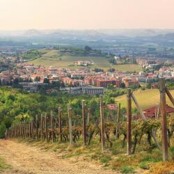 迪亚诺达尔巴 5家带泳池的酒店