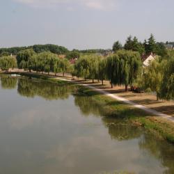 Argent-sur-Sauldre 6家带停车场的酒店