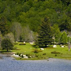 伊扎洛 5家自助式住宿