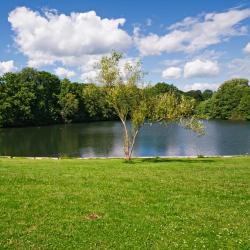 斯卡维纳 15家带停车场的酒店