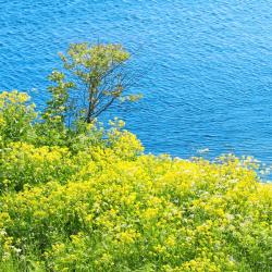 布鲁格 7家带停车场的酒店