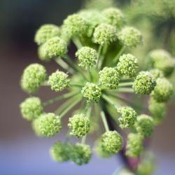 Celles-sur-Belle 6家住宿