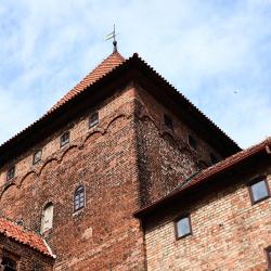 尼济察 4家带泳池的酒店