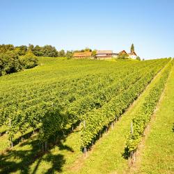 格莱斯多夫 9家住宿