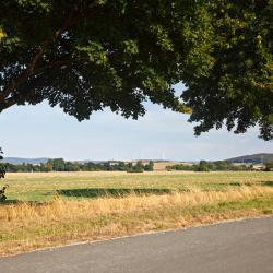 福伊希特旺根 18家带停车场的酒店