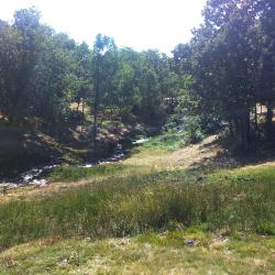 拉斯纳瓦斯德尔马尔克斯 14家宠物友好酒店