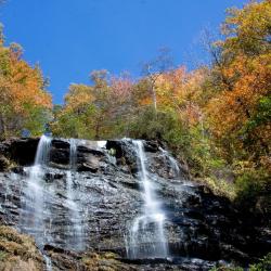 Lookout Mountain 4家酒店