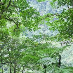 Vara Blanca 4家带停车场的酒店