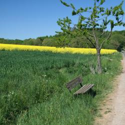 泽丹 4家带停车场的酒店