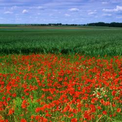 克雷伊 12家自助式住宿