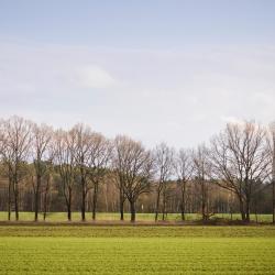 海德米赫莱 30家滑雪度假村