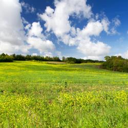 Saint-Romain 6家自助式住宿