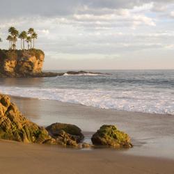 森林湖 7家低价酒店