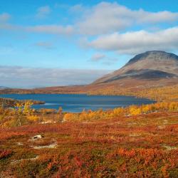 埃农泰基厄 3家带泳池的酒店