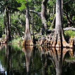 格林维尔 4家带停车场的酒店