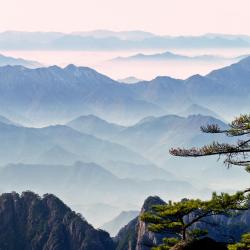 马埃岛贝拉扎尔区 4家度假村