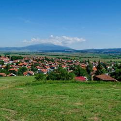 贝尔钦 3家低价酒店