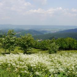 齐莱涅克 6家住宿加早餐旅馆