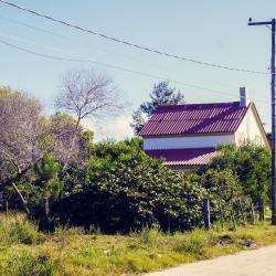 楚伊 5家住宿加早餐旅馆