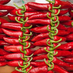 埃斯珀莱特 13家自助式住宿