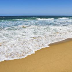阿沃卡海滩 19家度假短租房