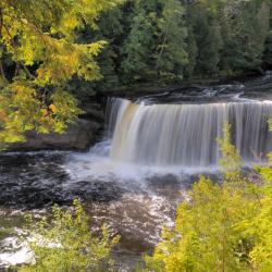 Newberry 5家带停车场的酒店