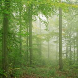 霍盖思 63家滑雪度假村