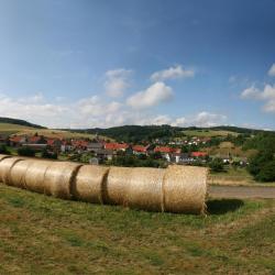 坎普-林特福特 11家带停车场的酒店