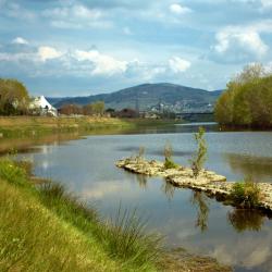 蒙泰卢波菲奥伦蒂诺 60家住宿