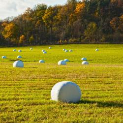 斯泰恩谢尔 12家带停车场的酒店