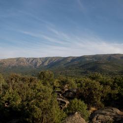 纳瓦伦加 25家宠物友好酒店