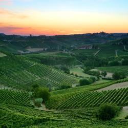 凯拉斯科 5家带泳池的酒店