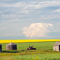 金德斯利 9家住宿