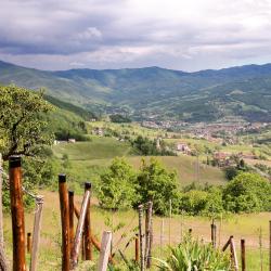 塔罗谷镇 8家带停车场的酒店