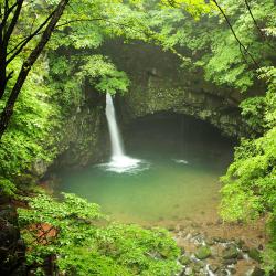 抱川市 4家度假短租房