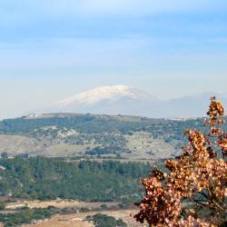 Kefar Weradim 4家住宿加早餐旅馆