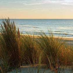 波讷地区圣朱利安